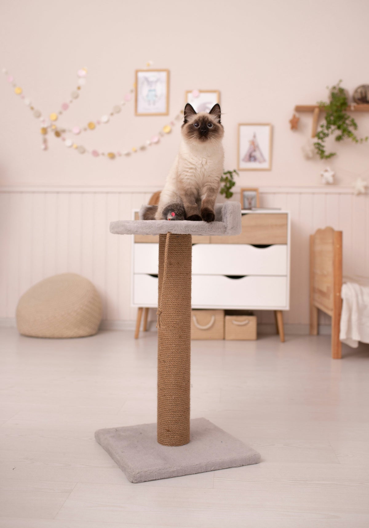Scratching Posts