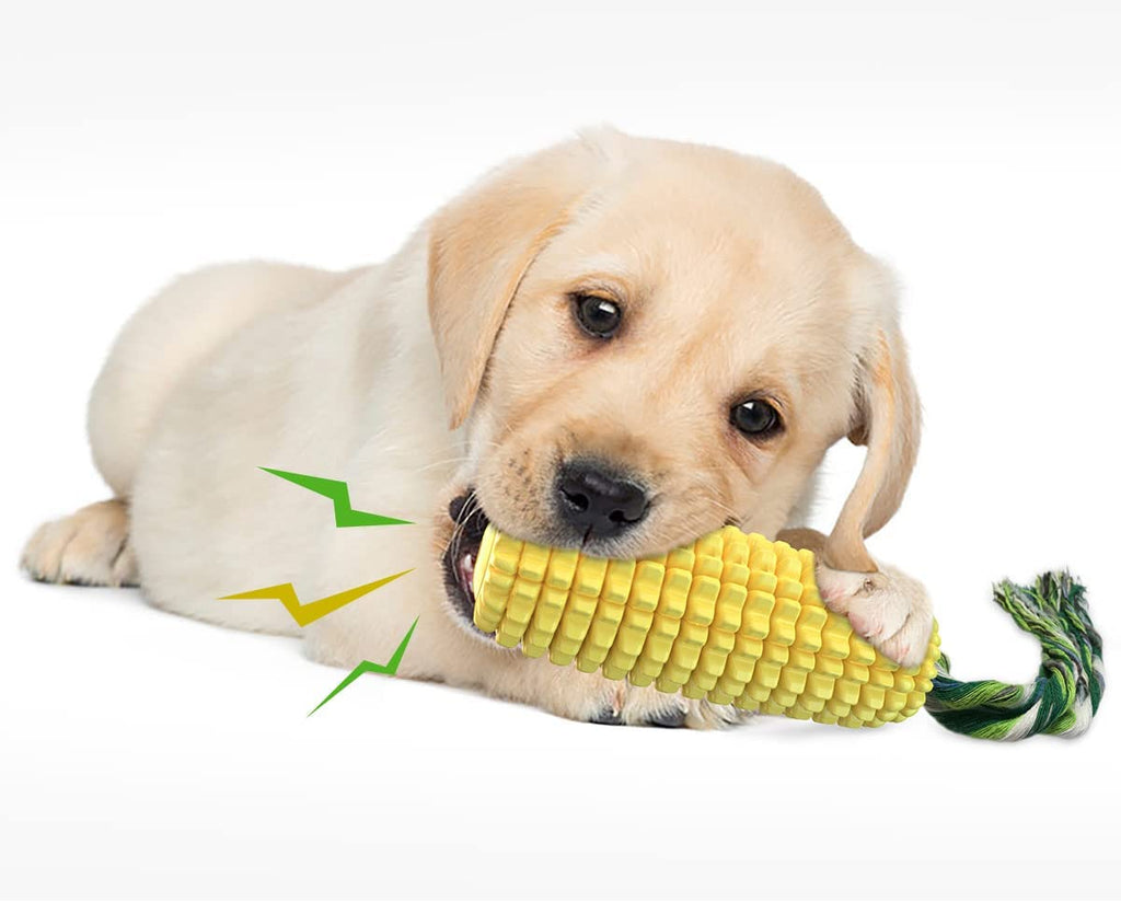 Dog Chew Toys for Aggressive Chewers, Indestructible