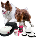 SwiftPaws - Home Original - Chase Toy - for Dogs