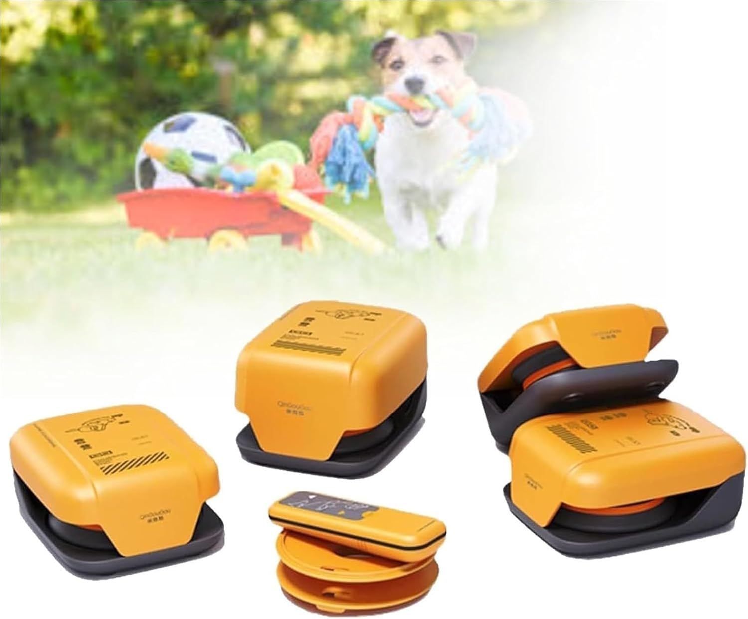 Remote-Control Chase Toy for Dogs