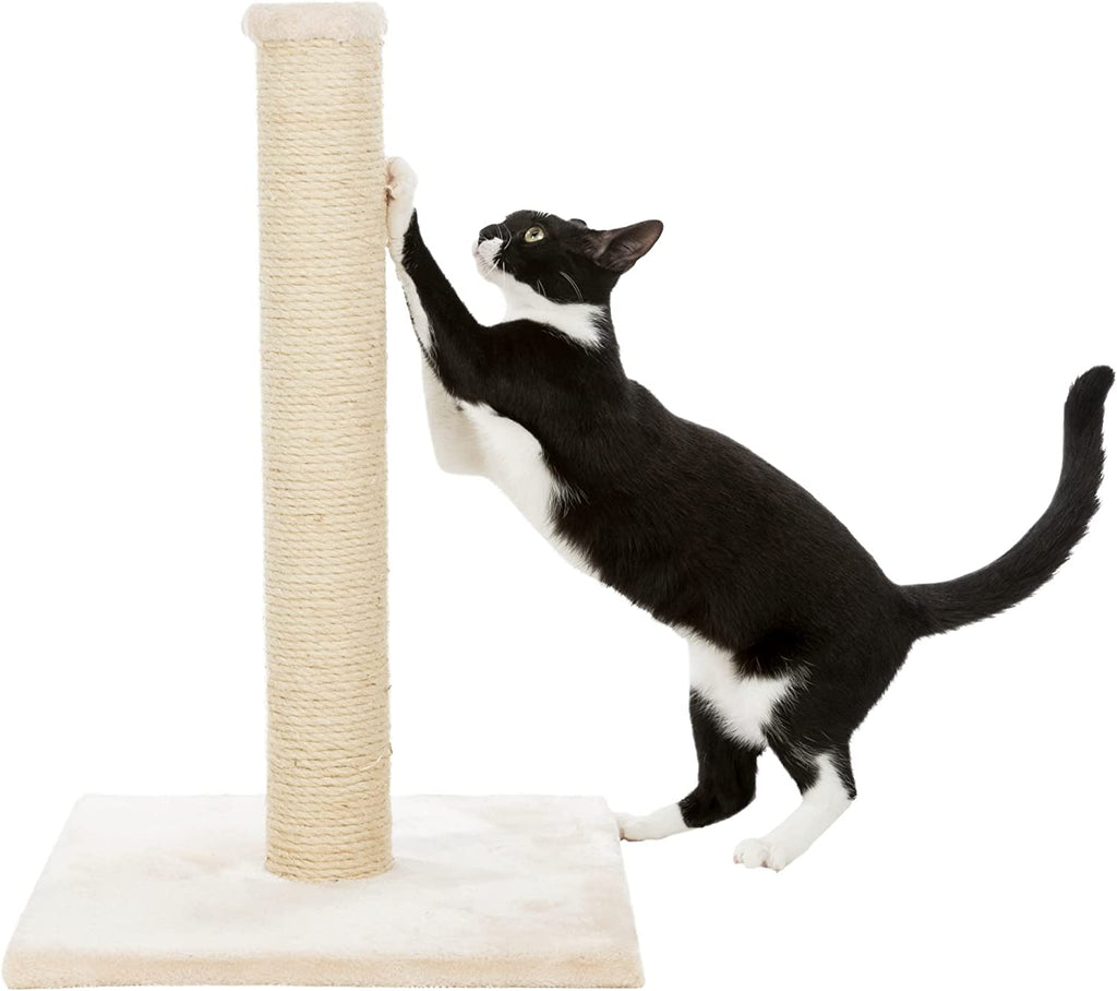 TRIXIE Parla Scratching Post, Durable Sisal Rope,