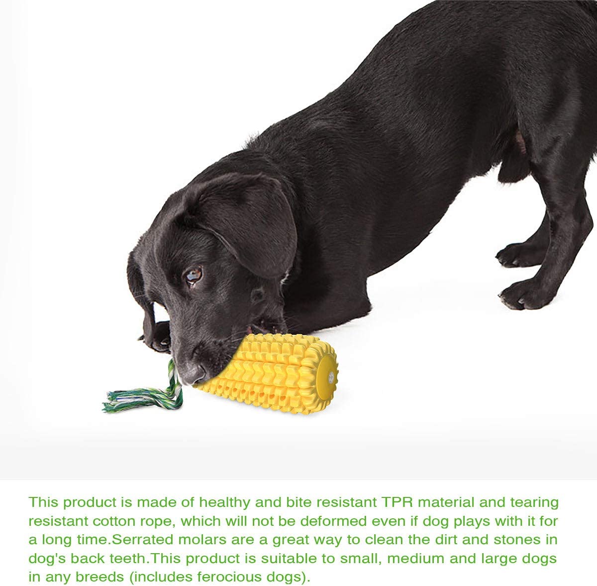 Dog Chew Toys for Aggressive Chewers, Indestructible