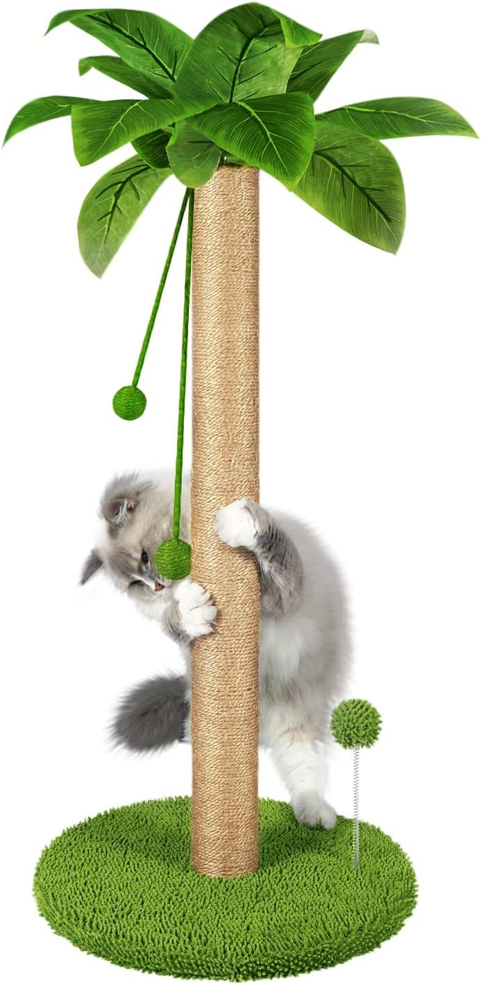 Dohump Cat Scratching Post, 31" Tall Scratch Tree with