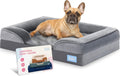 Orthopedic Sofa Dog Bed - Ultra Comfortable Beds for