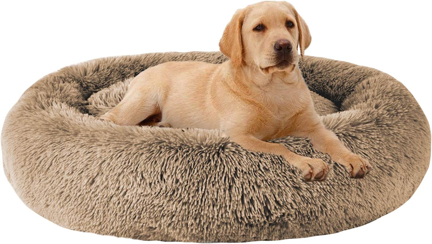 MFOX Calming Dog Bed (L/XL/XXL/XXXL) for Medium and