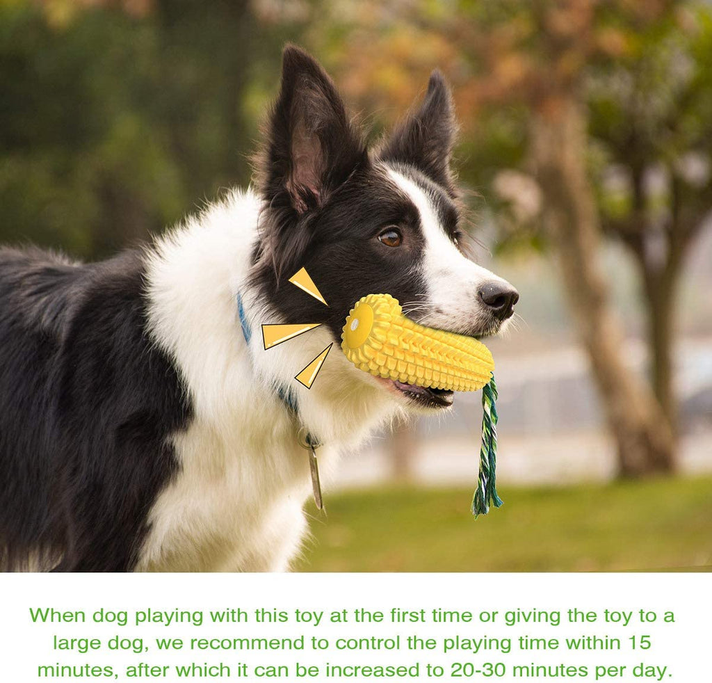 Dog Chew Toys for Aggressive Chewers, Indestructible