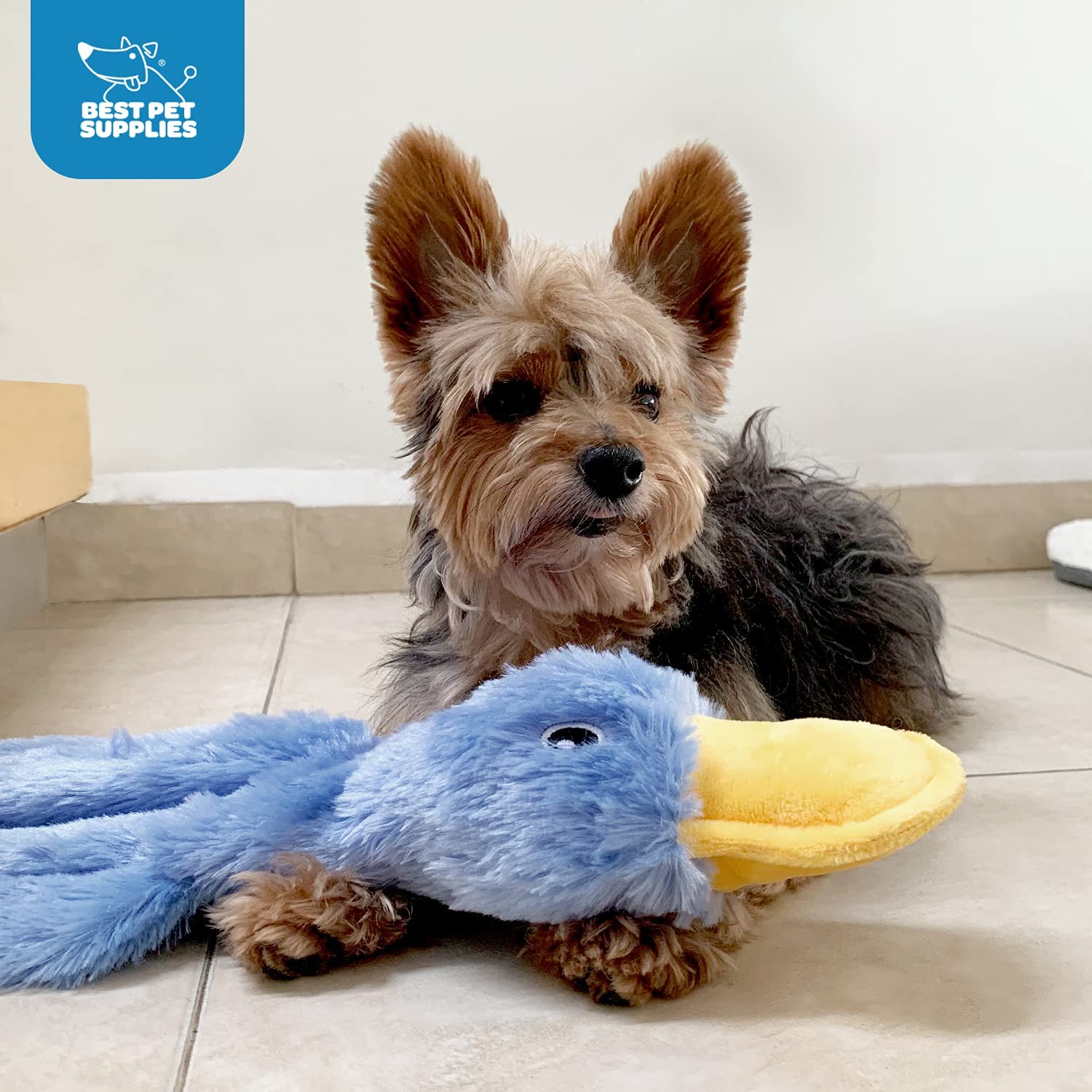 Best Pet Supplies Crinkle Dog Toy for Small, Medium,