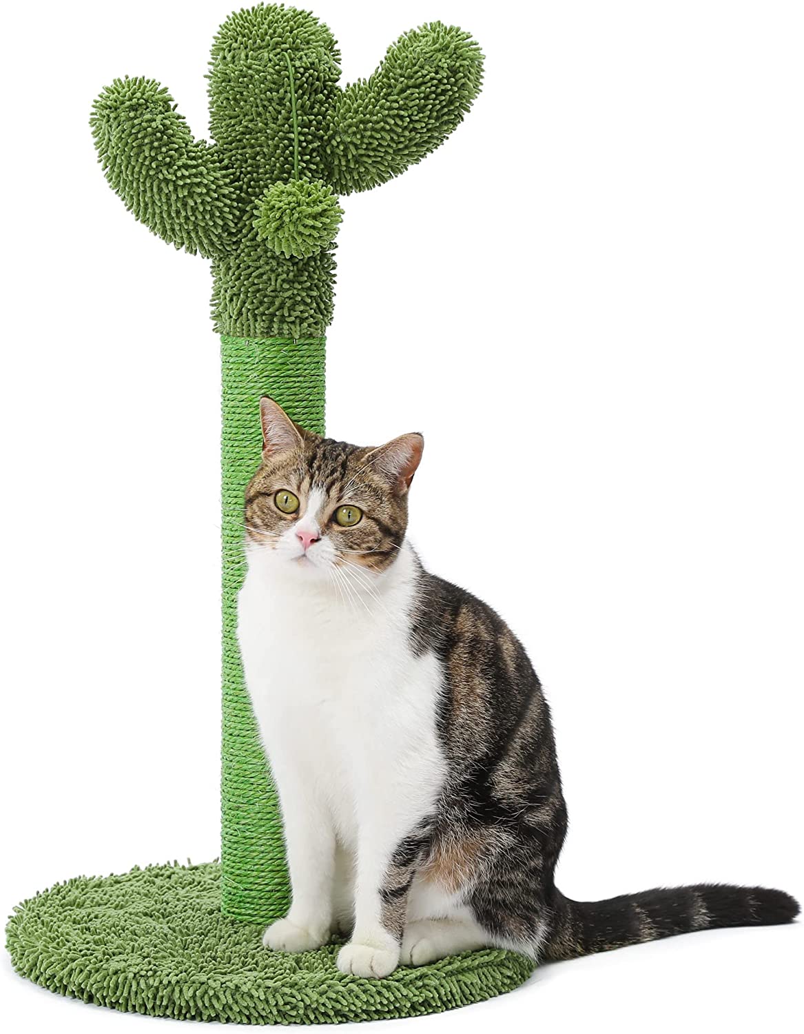 Made4Pets Cat Scratching Post, Cactus Cat Scratcher