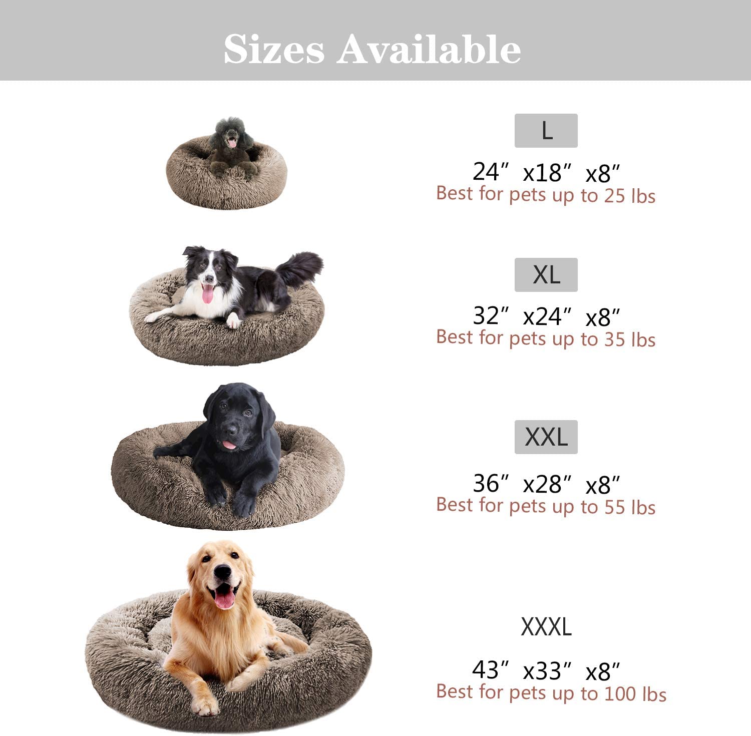 MFOX Calming Dog Bed (L/XL/XXL/XXXL) for Medium and