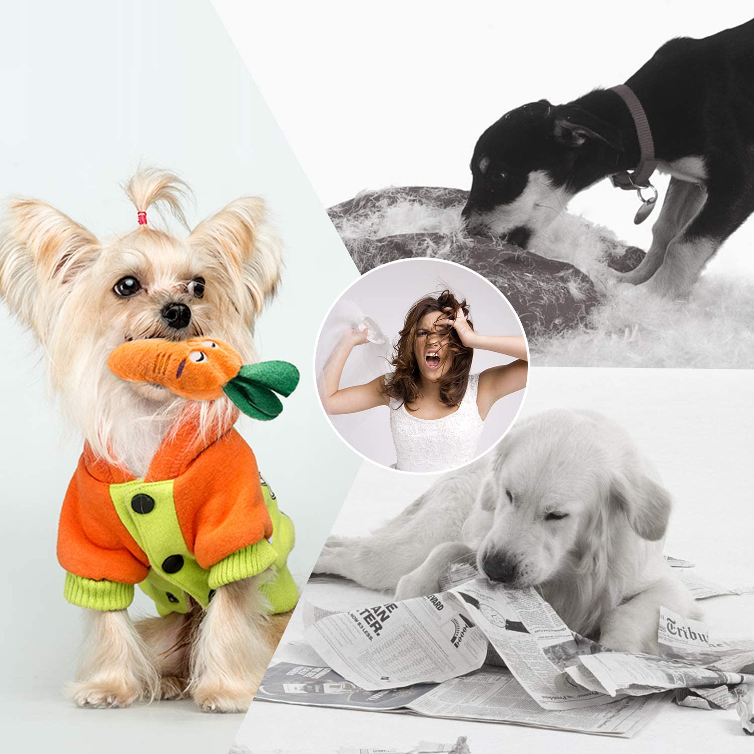 Nocciola Dog Squeaky Toys Cute Plush Small for Small