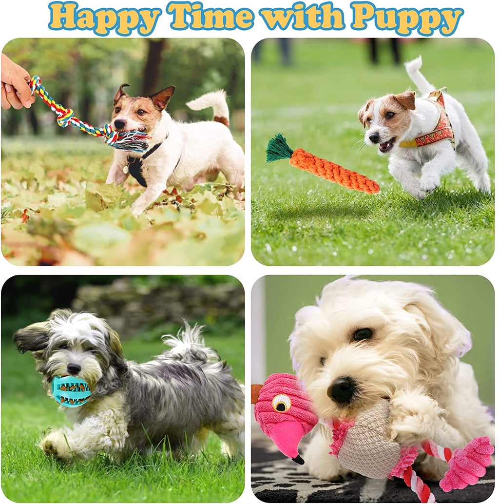 LOYEE 8 Pack Puppy Toys, Squeaky Plush Dog for Small