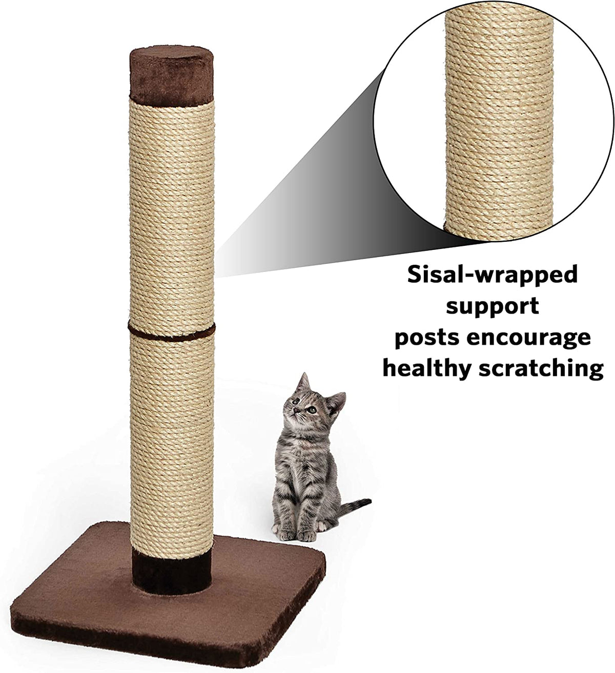 MidWest Homes for Pets Cat Scratching Post | Forte