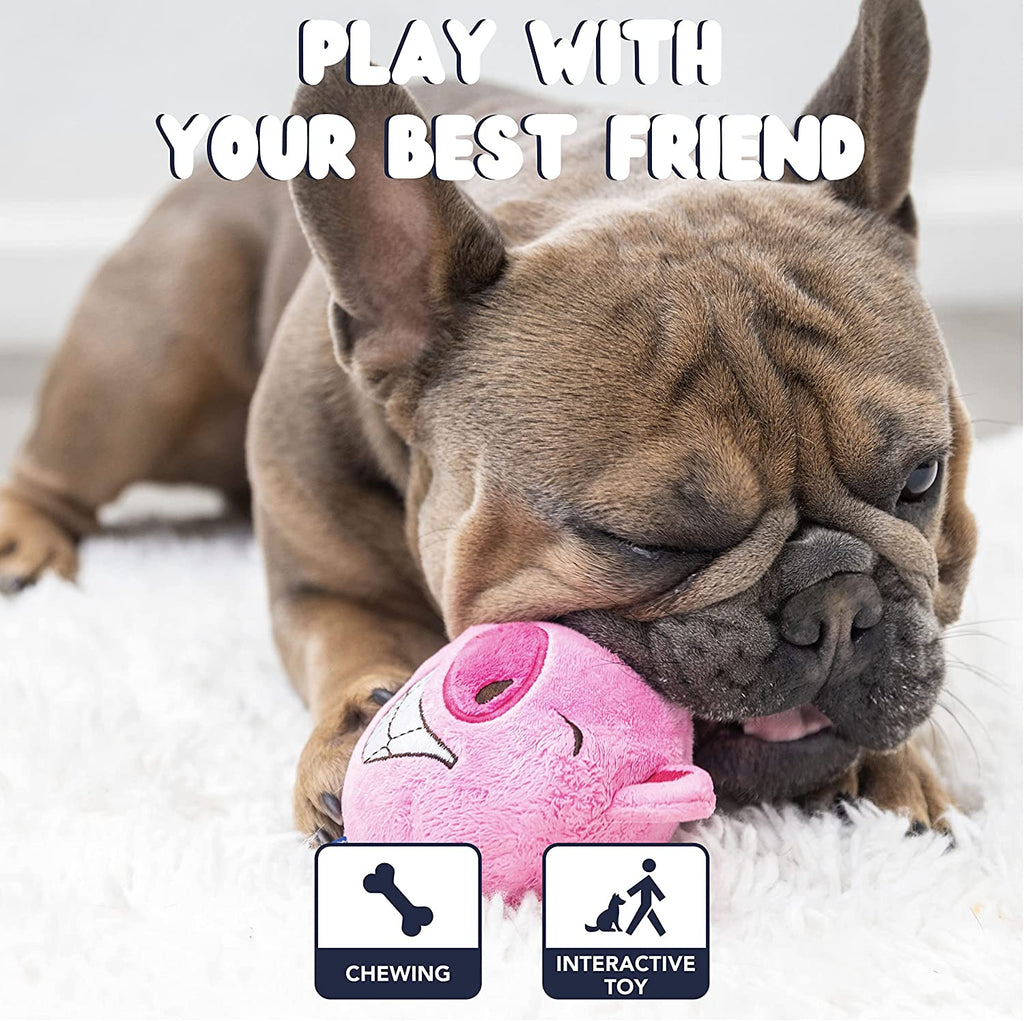 ZENAPOKI Dog Toys for Aggressive Chewers (3in1) -
