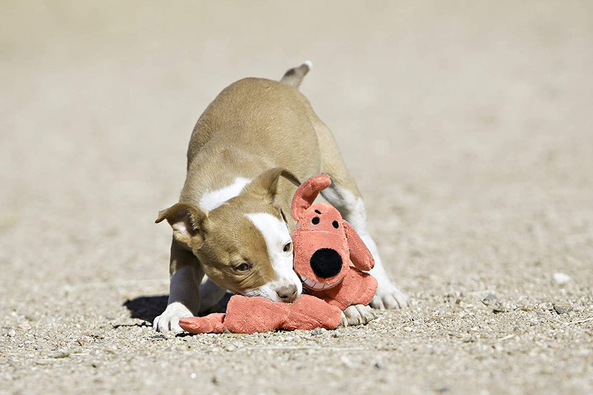 Multipet's Original Loofa Jumbo Dog Toy in Assorted