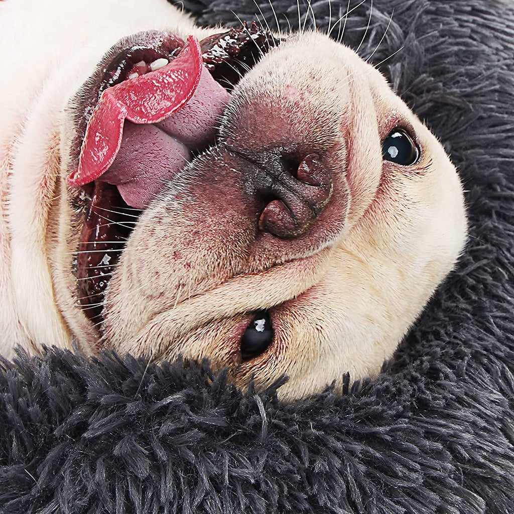 Small Calming Dogs Bed for Small Anti-Anxiety Machine