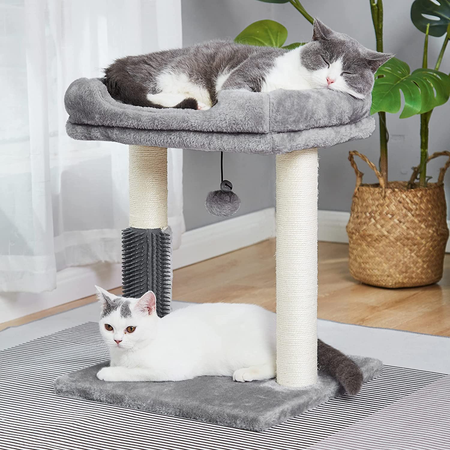 MeowSir Cat Tree 4 in 1 Cat Scratching Post Featuring