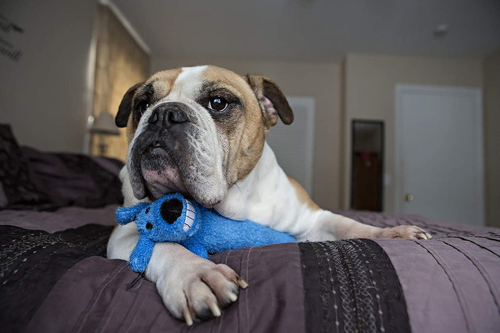 Multipet's Original Loofa Jumbo Dog Toy in Assorted