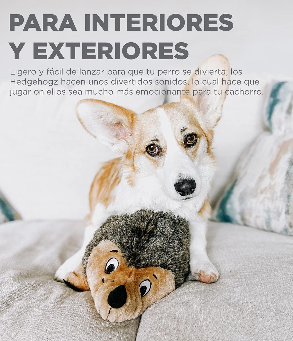 Outward Hound Hedgehogz Plush Dog Toy, Small
