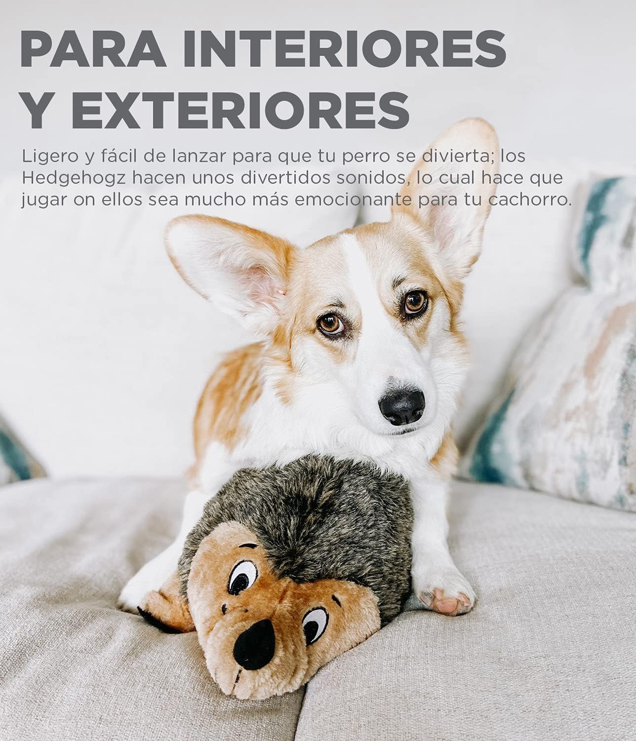 Outward Hound Hedgehogz Plush Dog Toy, Small