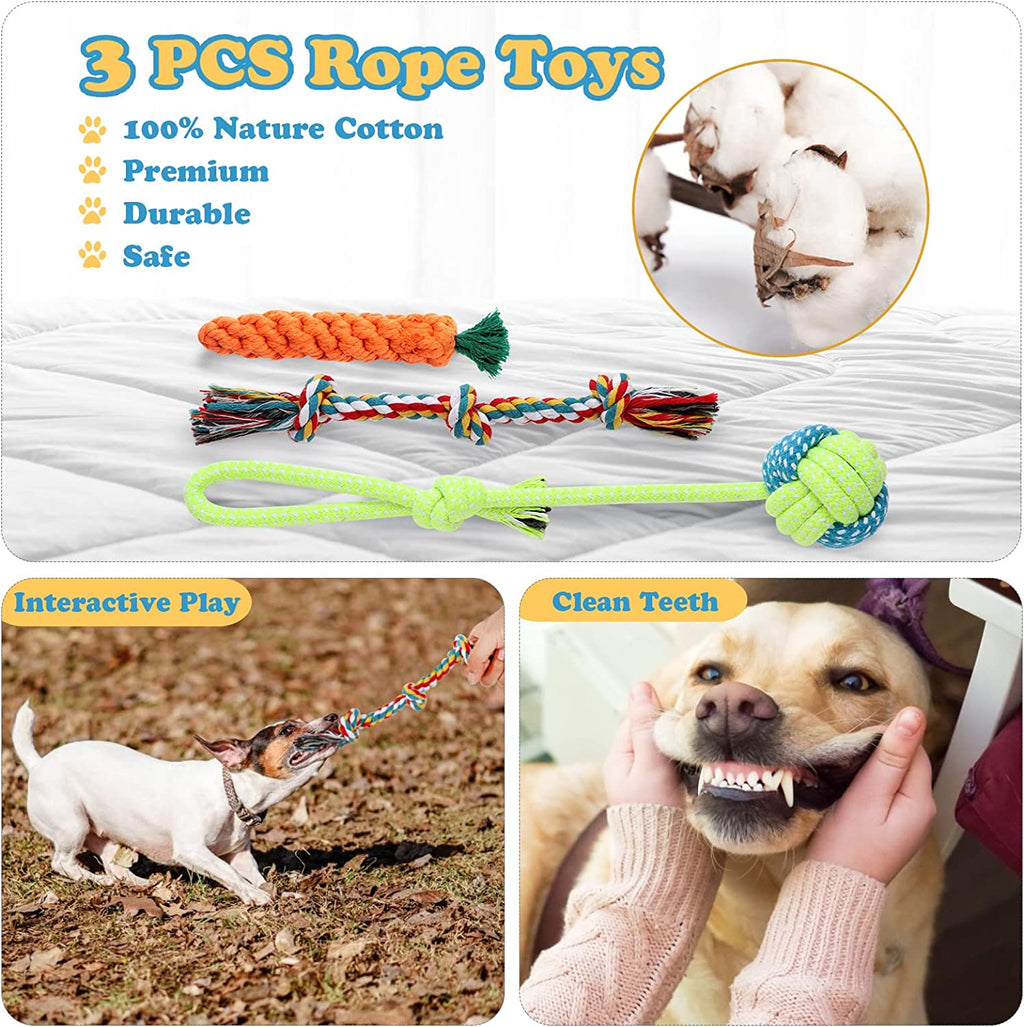 LOYEE 8 Pack Puppy Toys, Squeaky Plush Dog for Small