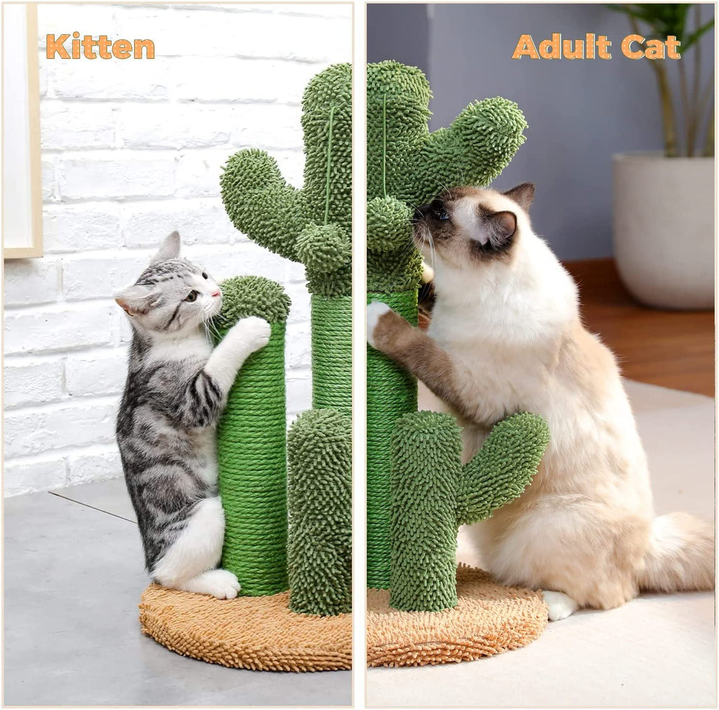 PAWZ Road Cat Scratching Post Cactus Cat Scratcher