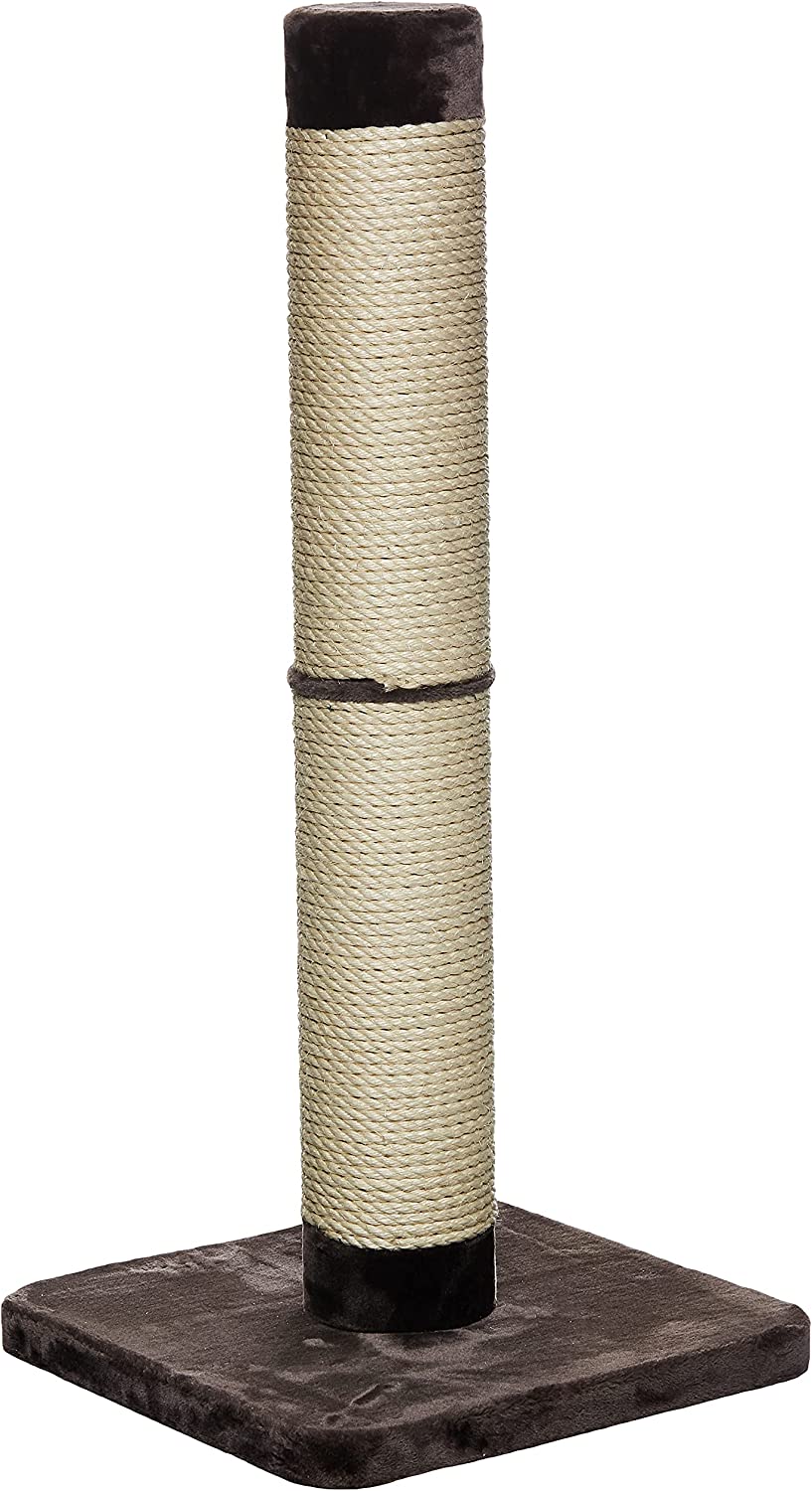 MidWest Homes for Pets Cat Scratching Post | Forte