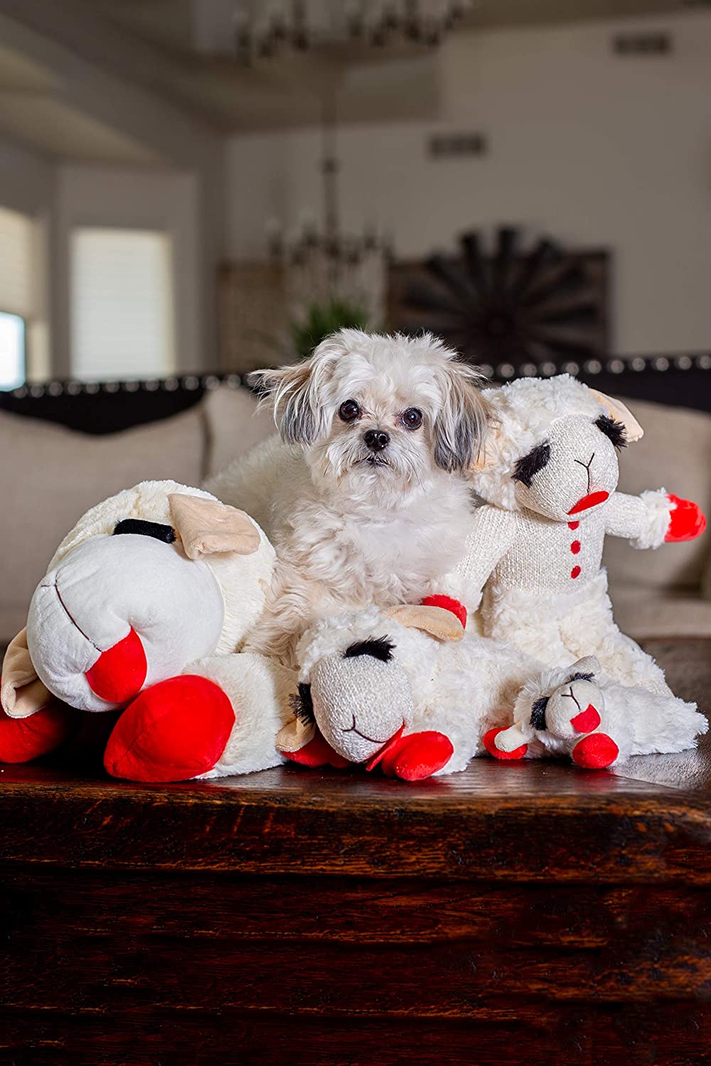 Multipet Plush Dog Toy