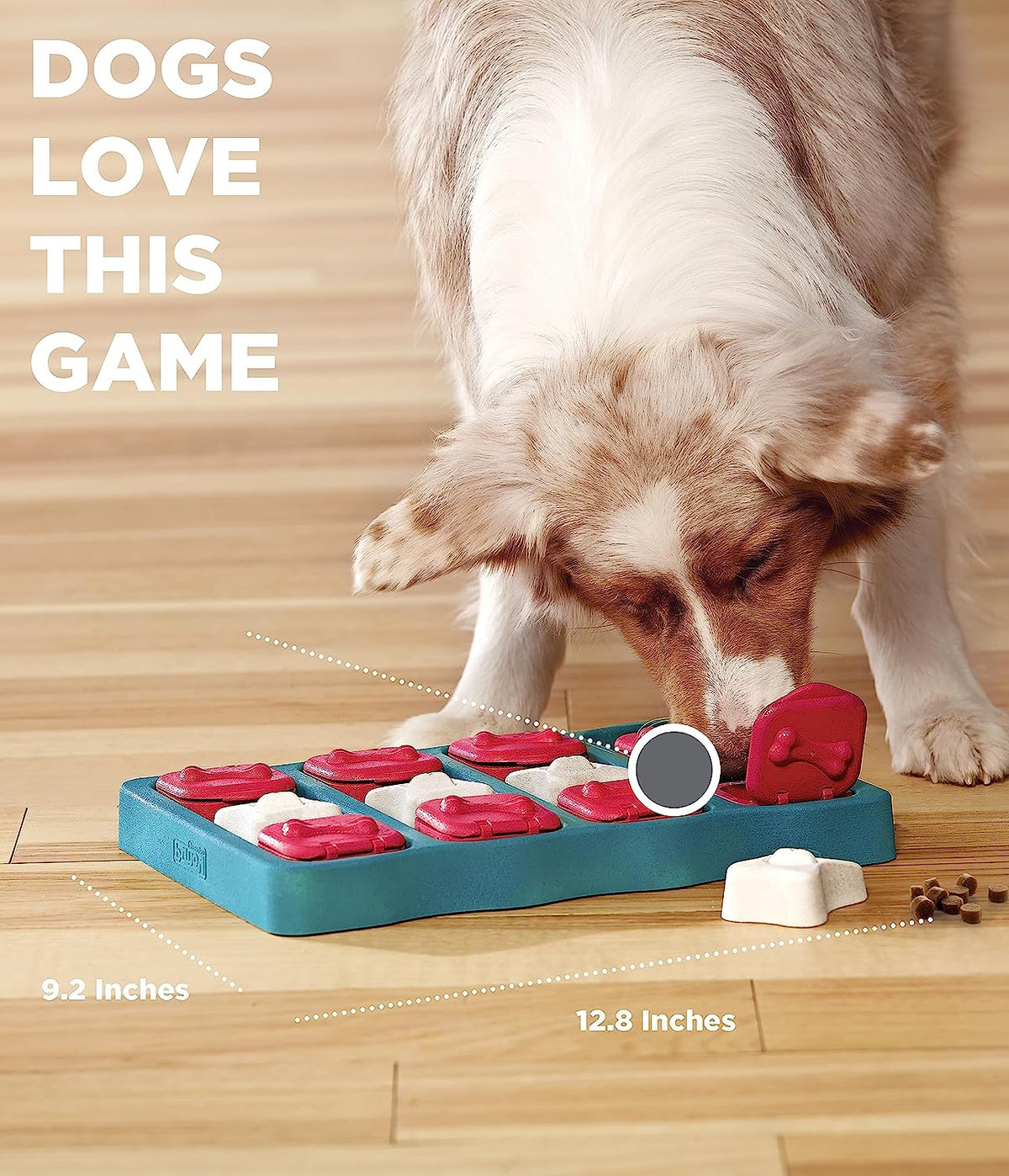 Outward Hound Nina Ottosson Dog Brick Interactive