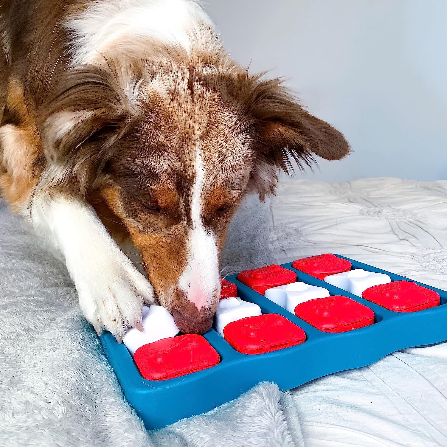 Outward Hound Nina Ottosson Dog Brick Interactive