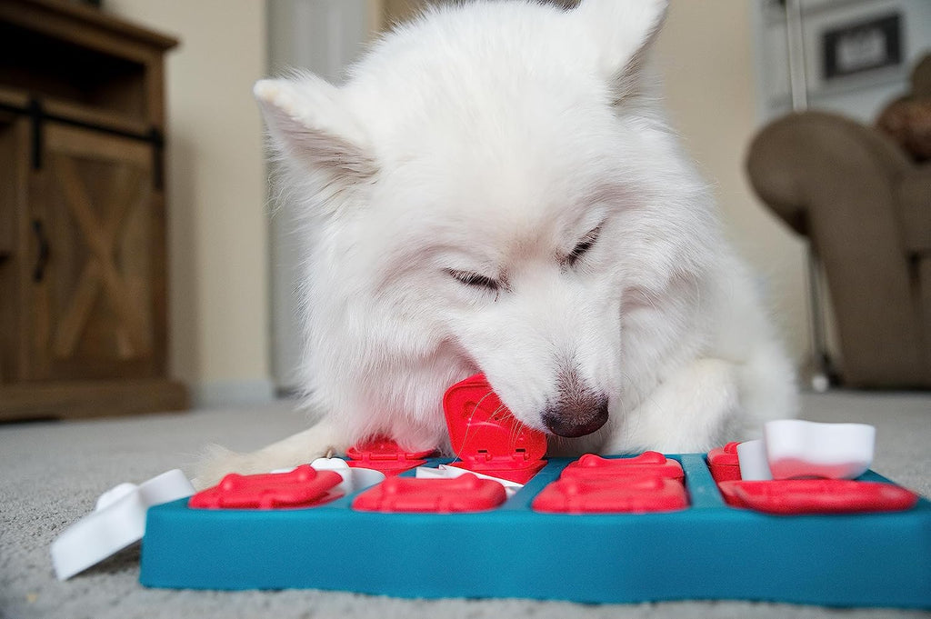 Outward Hound Nina Ottosson Dog Brick Interactive