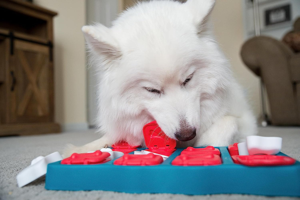 Outward Hound Nina Ottosson Dog Brick Interactive